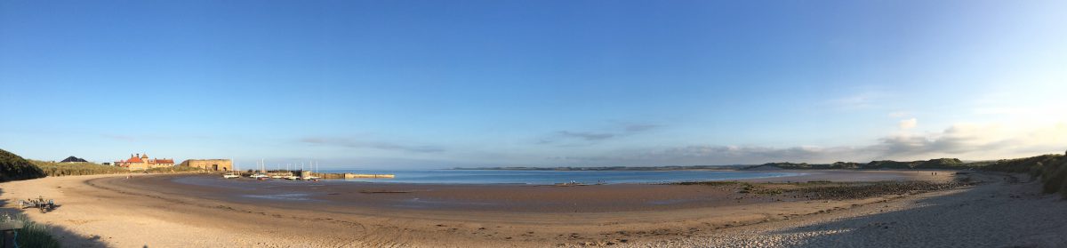 The Jilted Triathlete