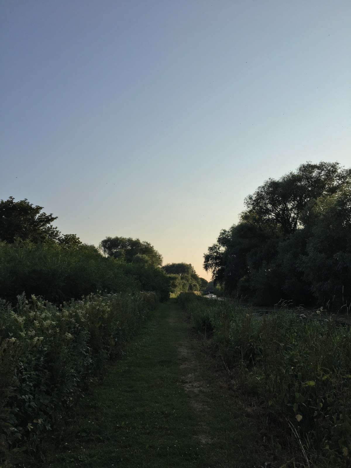 Tears, training and time&nbsp;trails.